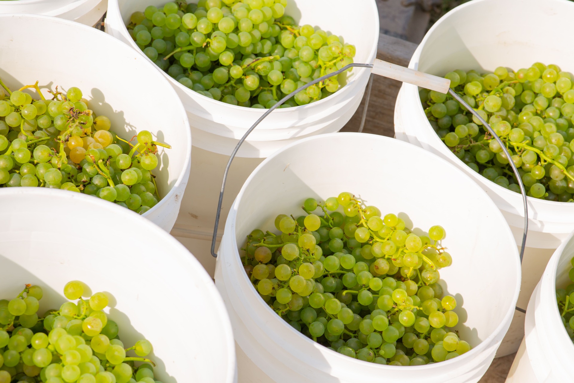 À propos Domaine SainteFamille